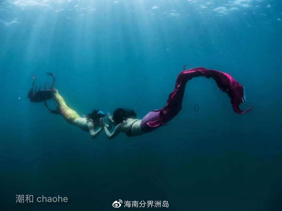 植物大战僵尸14